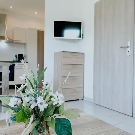 Haus Rheinblick Holiday home *
